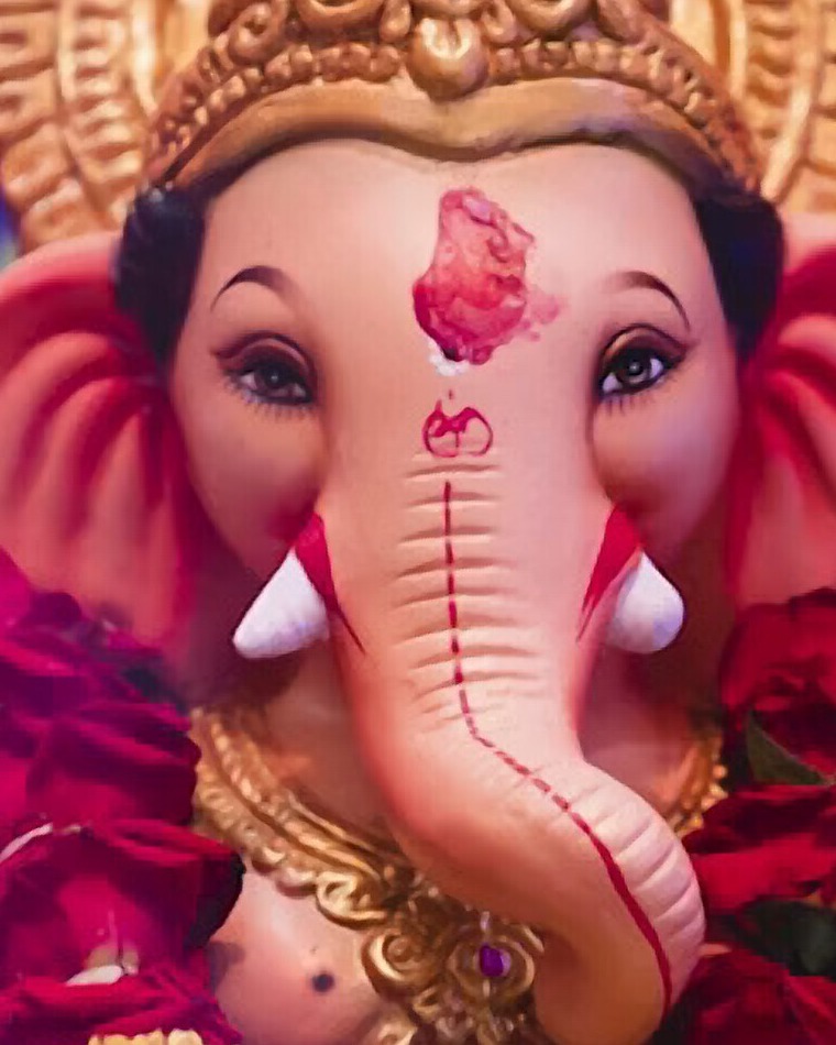 Detail of the idol's trunk, forehead tilak and rose garland